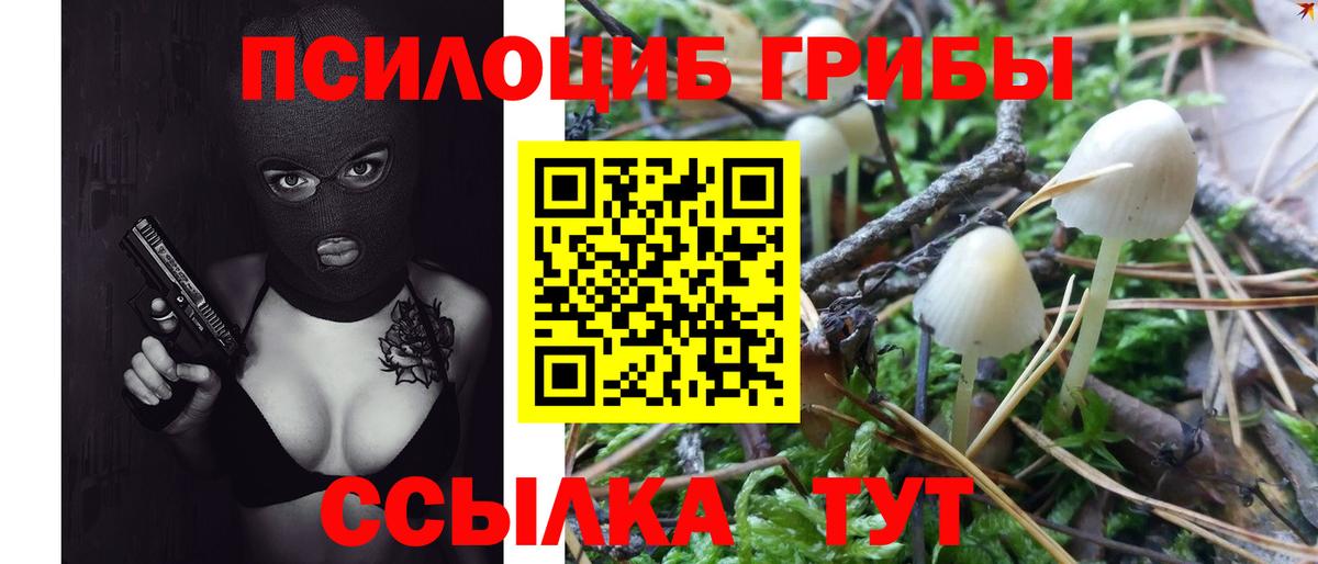 Галлюциногенные грибы мухоморы  Галлюциногенные грибы Cubensis  Вход с VPN  Мытищи 