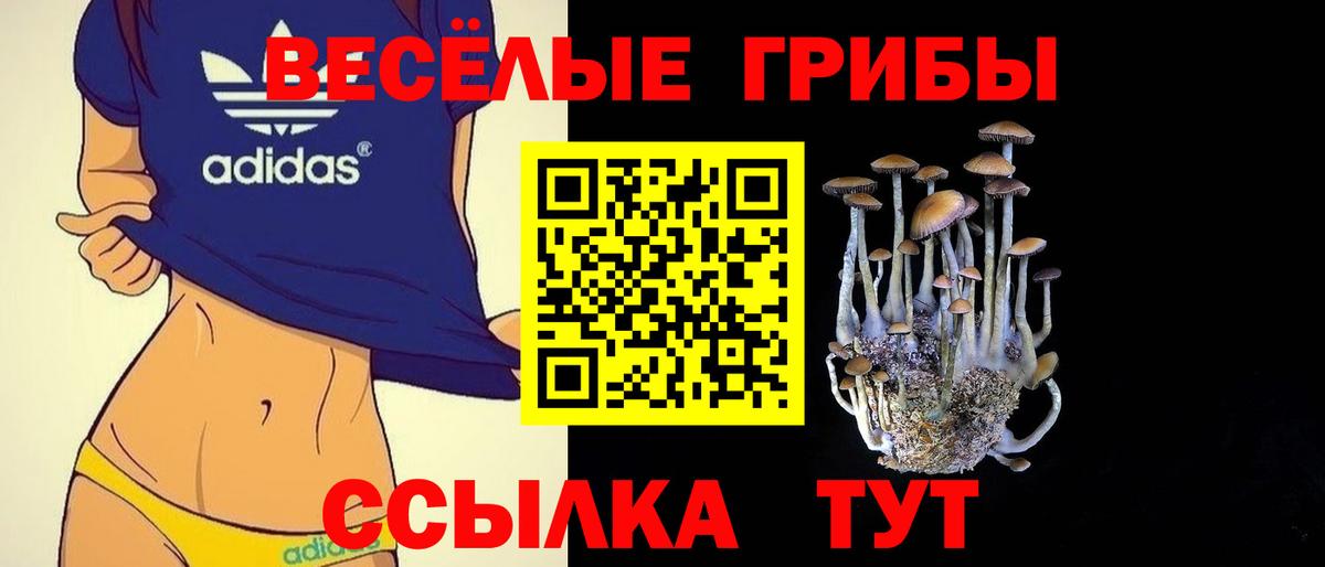 Галлюциногенные грибы Magic Shrooms Мытищи